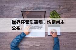 开云官方体育app官网-世界杯受伤离场，伤情尚未公布。