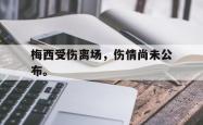 开云官方体育app官网-梅西受伤离场，伤情尚未公布。