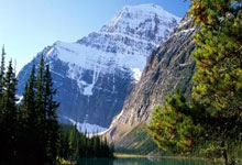 开云官方体育app官网-科维托娃在IG比赛中反败为胜，锐不可当引发热议！