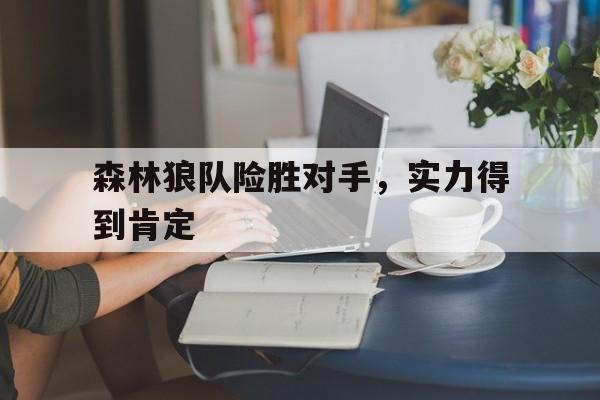 森林狼队险胜对手，实力得到肯定